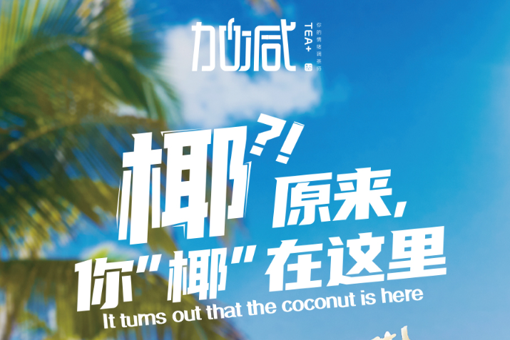凯发天生一触即发椰子系列新品火爆上市